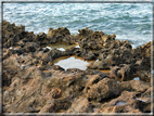 foto Spiagge dell'Isola di Oahu